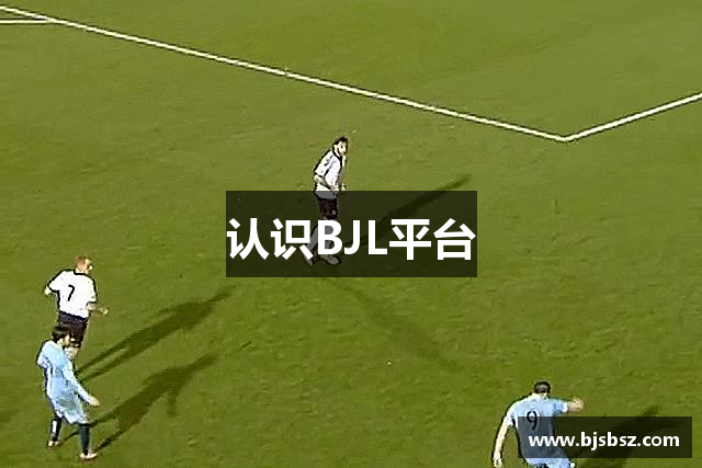 认识BJL平台